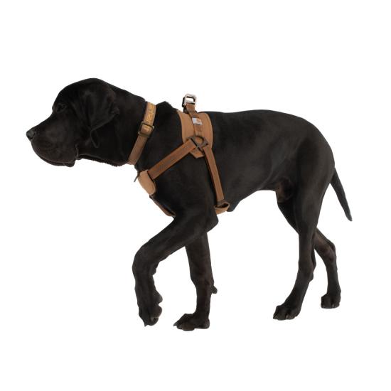 Carhartt Nylon Duck Training Dog Harness