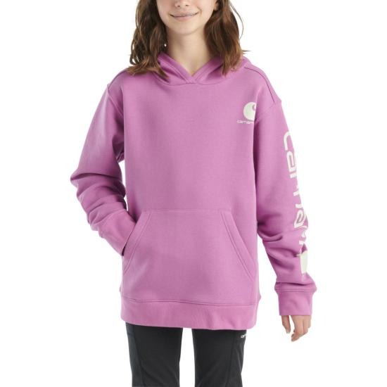 Carhartt Youth Long-Sleeve Graphic Sweatshirt