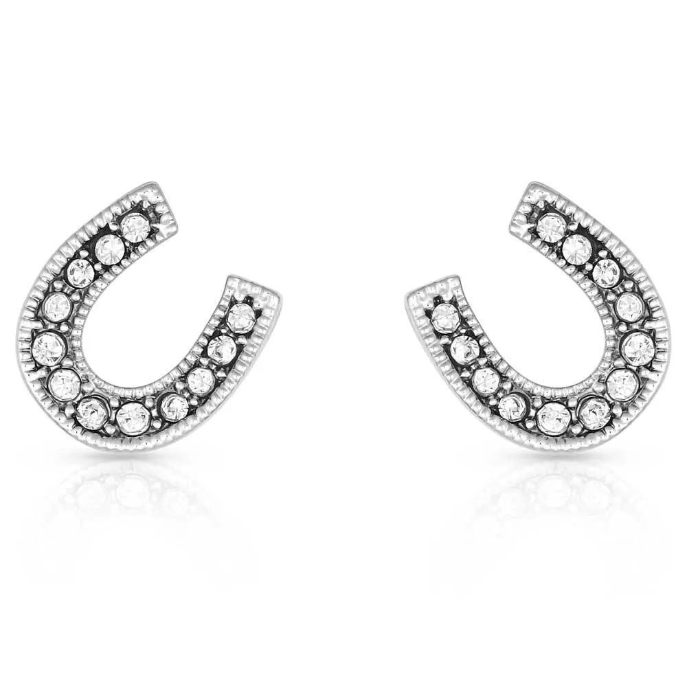 Montana Crystal Clear Stuck on Luck Post Earrings