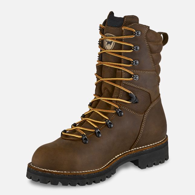 Irish Setter Men's Shorewood 9-inch Waterproof Leather Safety Toe Boot
