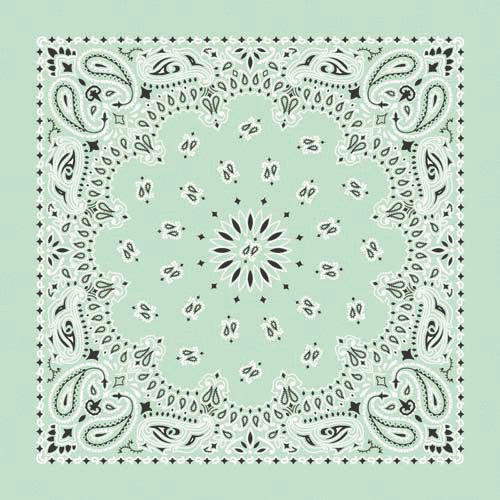 Western Express Made in the USA - Mint Paisley Bandana