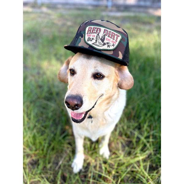 Red Dirt Men's Fly South Snapback
