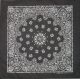 Western Express Made in the USA - Black Paisley Bandana